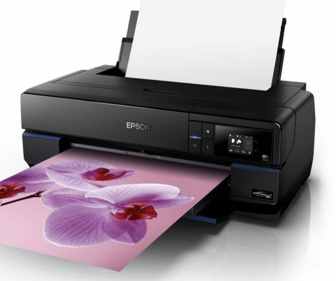 Epson Surecolor Sc-p800 Review - WORK AND PLEASURE