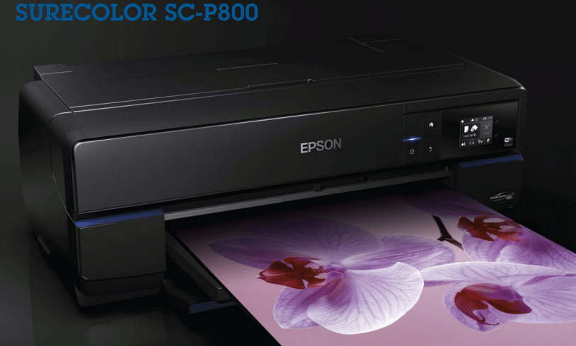 Epson Surecolor Sc-p800 Review - WORK AND PLEASURE