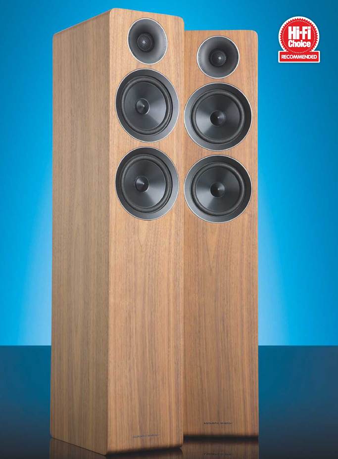 Acoustic Energy AE309, Audio, Other Audio Equipment On Carousell