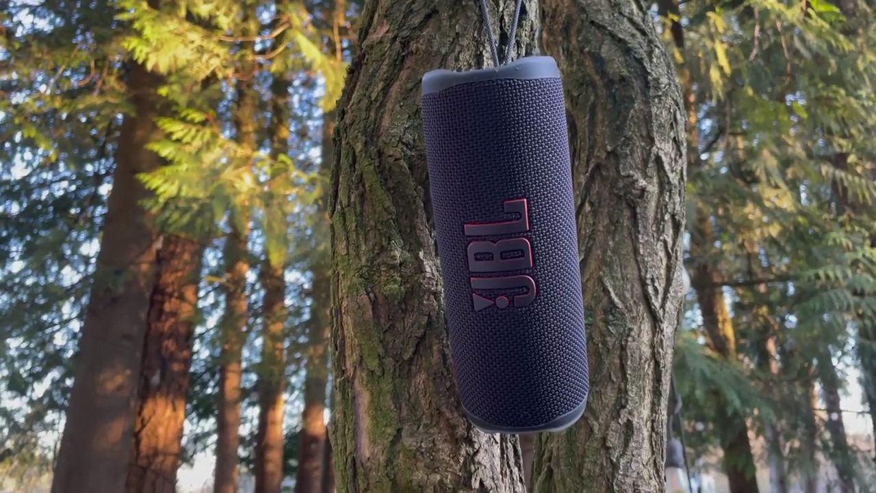 JBL Flip 6 Review 2.png