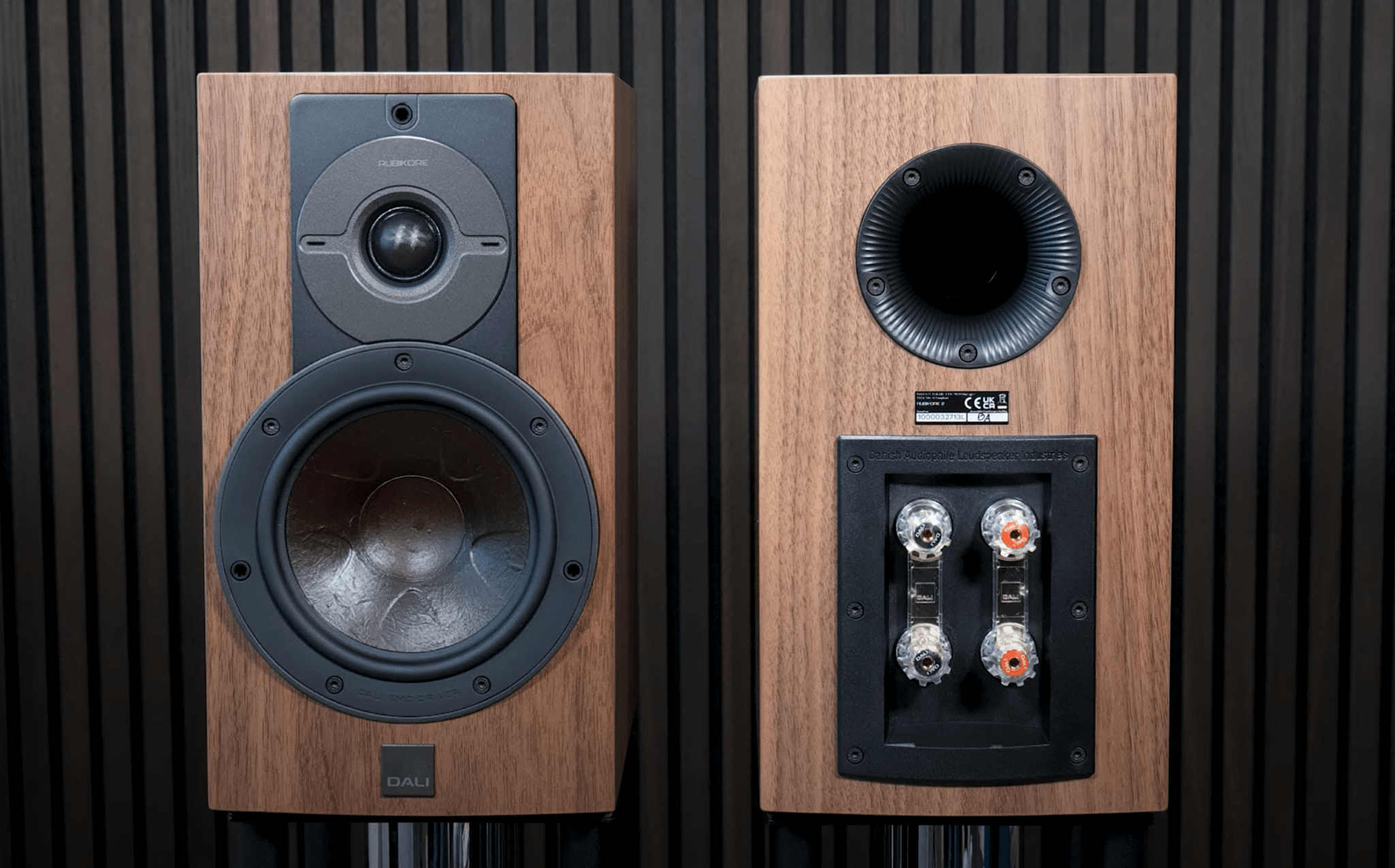 DALI Oberon 1 Review 7Review