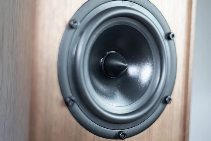 Instead of a dust cap, a phase plug is used to optimize sound dispersion.
