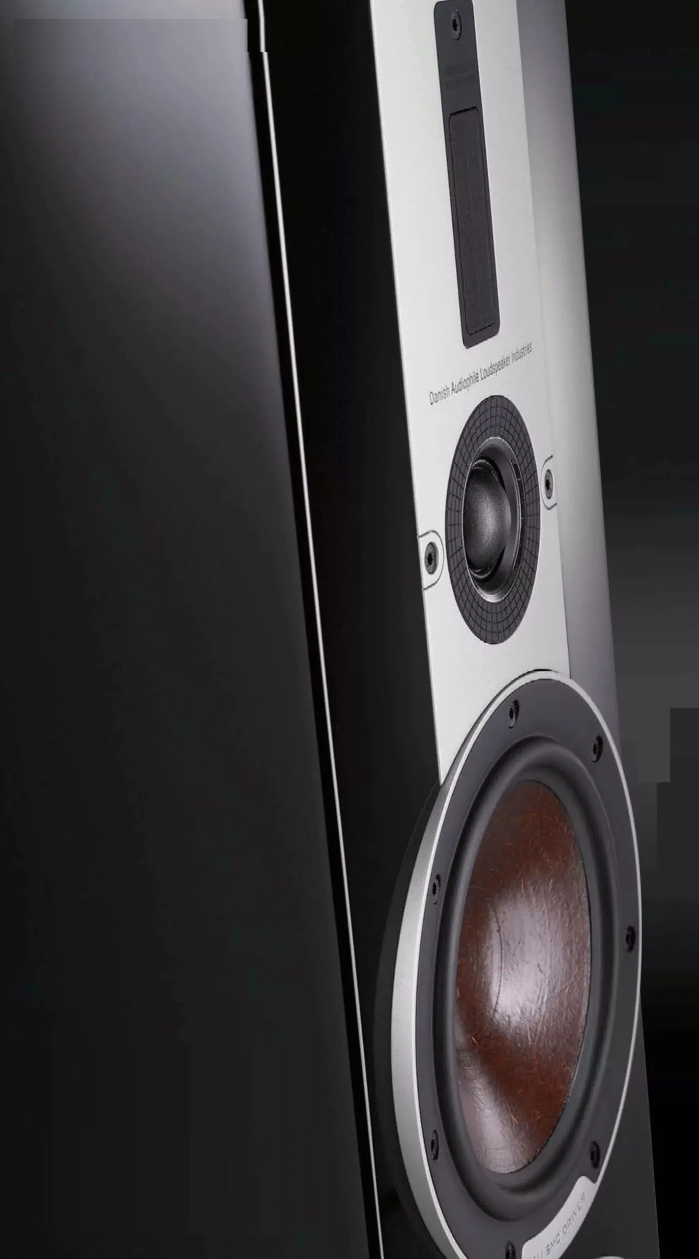 dali ダリ epicon6 ブラック DALI Epicon 6 Speakers – Stereo Untypical