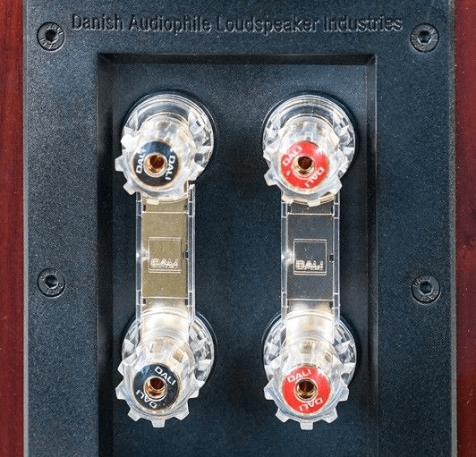 The bi-wiring terminal is a DALI in-house design and pleasingly solid.