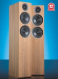 Acoustic Energy AE309 Review – Running in the family
