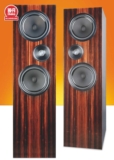 Living Voice R80 Review: Vocal prowess
